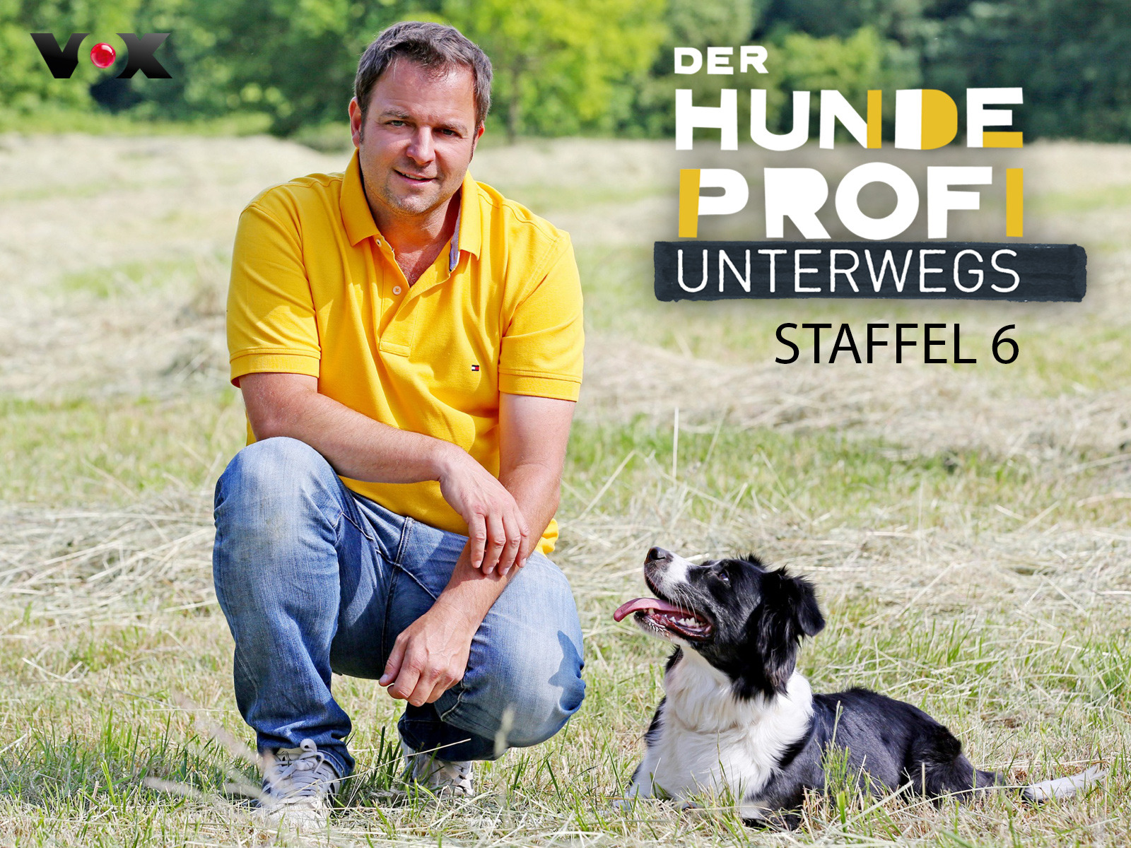 Der Hundeprofi unterwegs